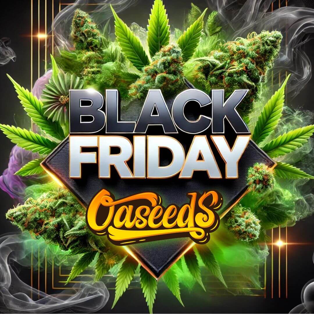 Black Friday Oaseeds